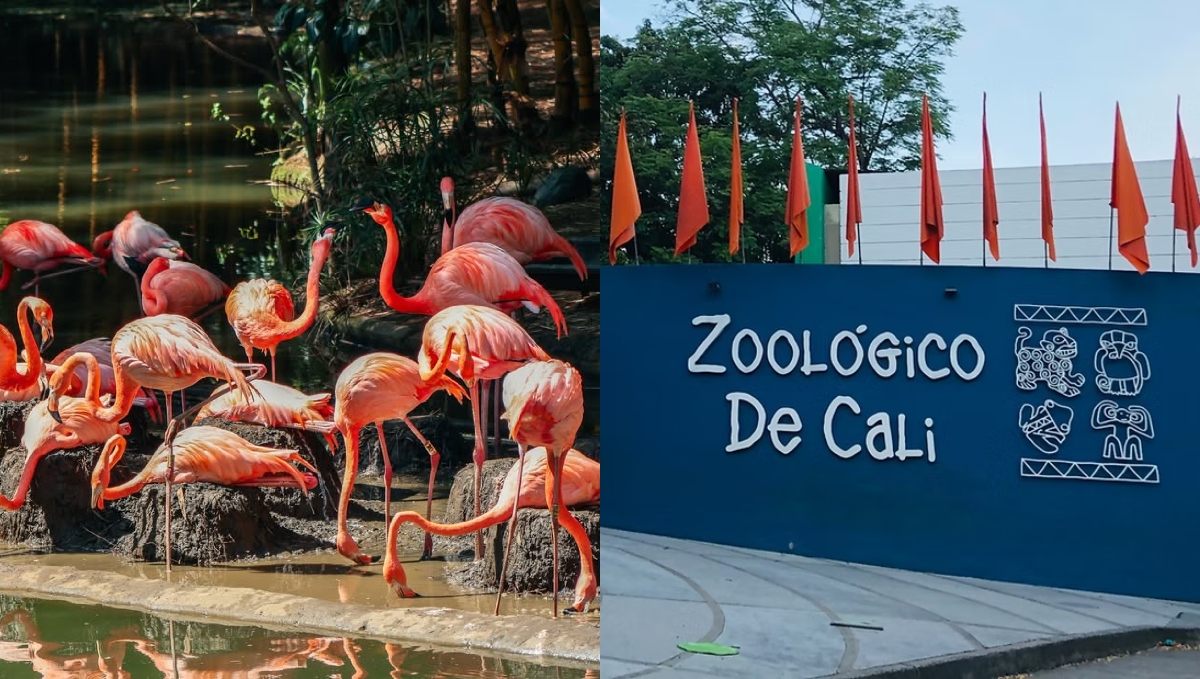 Zoológico de Cali