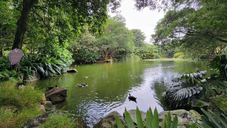 Jardín Botánico de Medellín