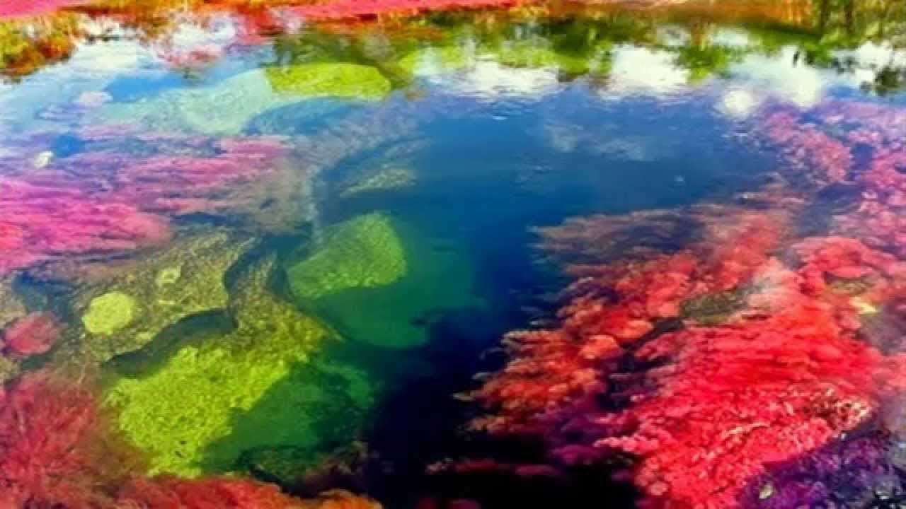 Caño Cristales